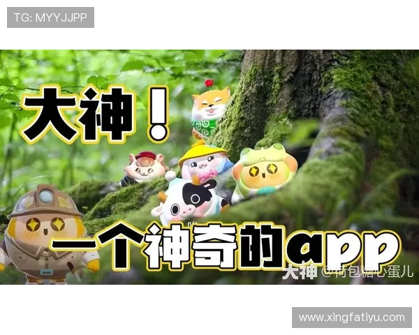 KB体育官网平台支持多种支付方式，轻松充值体验畅快游戏的便捷途径