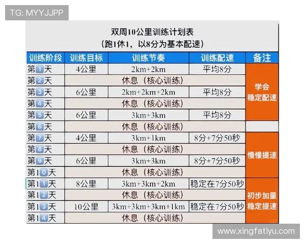 如何科学安排体育高考800米训练计划，提升跑步成绩的实用策略与建议